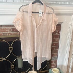 Zara Pink Sheer Striped Button-Down Shirt